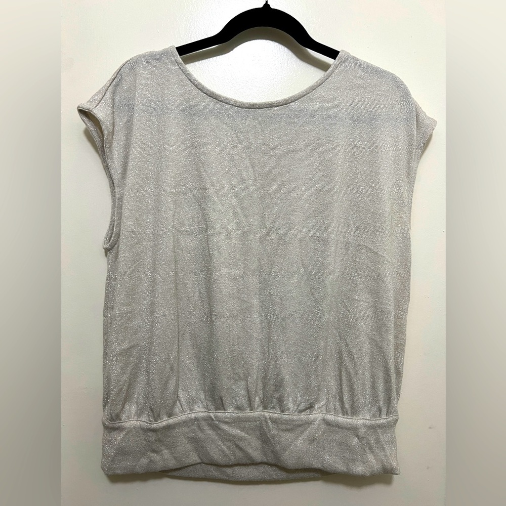 Beautiful and fancy silver blouse
